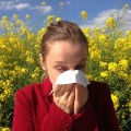 Allergia, szénanátha